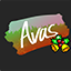 Server's avas.cc logo