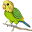 Server's budgie.network logo
