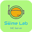 Server's mc.slimelab.net logo