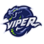 Server's play.vipermc.net logo
