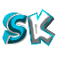 Server's sk.network logo