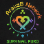 Server's survival.eternalcraft.net logo