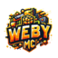Server's webymc.mineverse.in logo